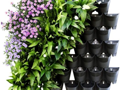 Tạo một khu vườn đứng trong nhà bằng chậu hoa composite treo tường
